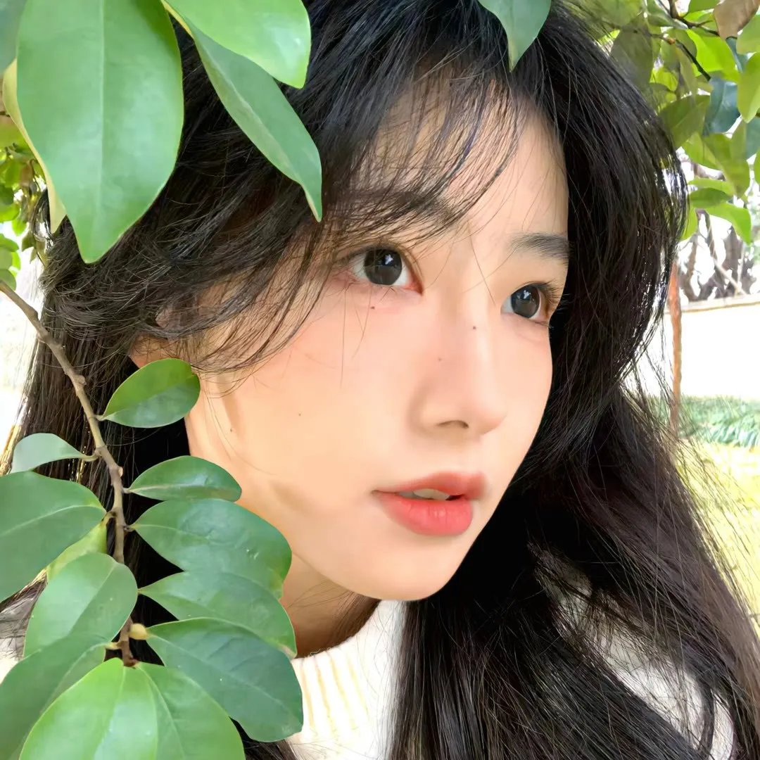 回声三号海报